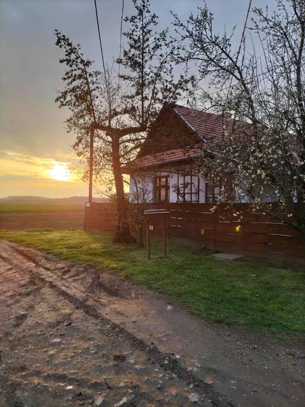 Hotel Tiszaglamping, The Belgian Hideaway Tiszacsege Zewnętrze zdjęcie